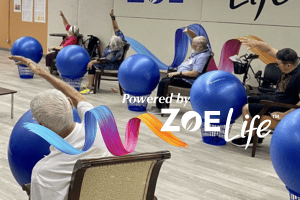 Powered by Zoe 3x2